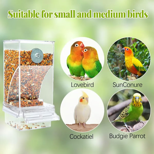 FeatherTidy – No Mess Automatic Bird Feeder