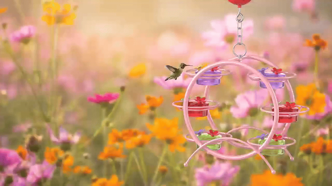SweetSip | Colorful Garden Hummingbird Feeder