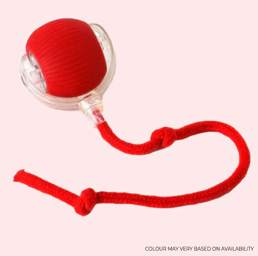 WiggleRoll – Crazy Tail Action Toy