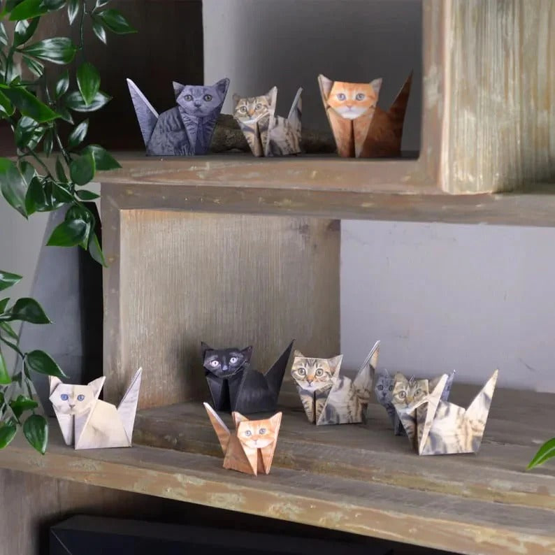 PurrCraft – DIY Cat Paper Set