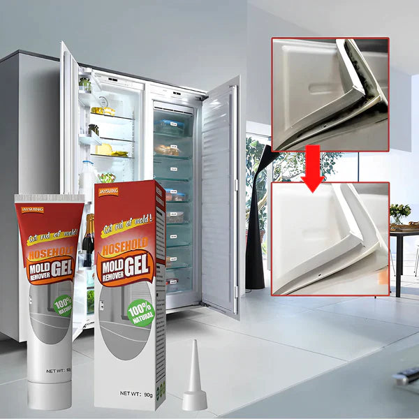 MoldZap – 2x Strength Mold Removal Gel