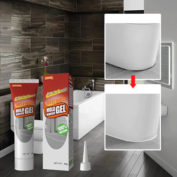 MoldZap – 2x Strength Mold Removal Gel