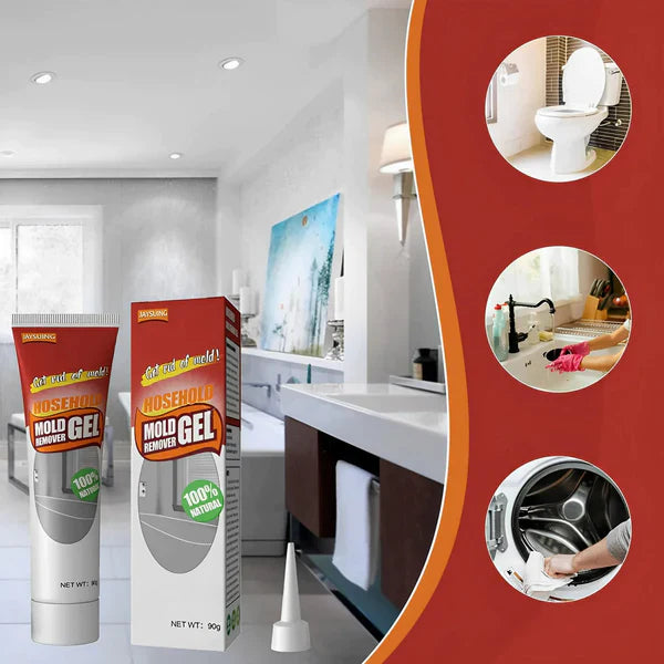 MoldZap – 2x Strength Mold Removal Gel