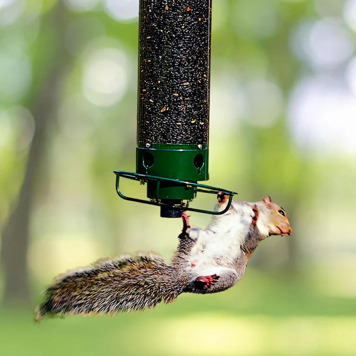 SquirrelBlocker – Smart Bird Feeder with Anti Theft Design