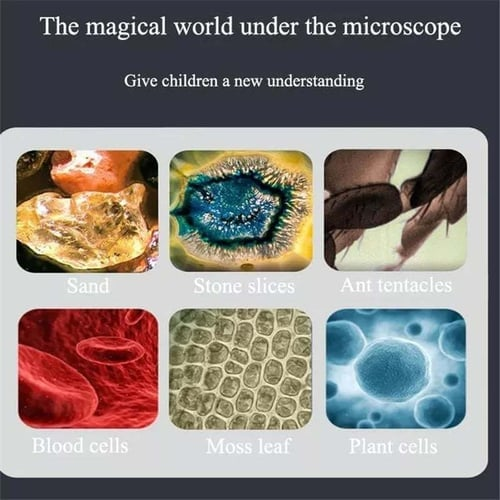 WonderScope – Portable Microscope for Kids