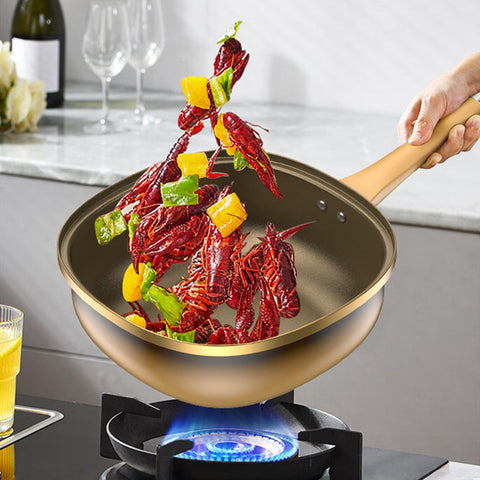 PureTitan -12-Inch Non-Stick Titanium Pot