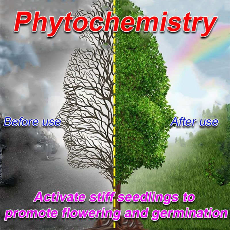 BloomBurst - Rapid Plant & Flower Activator