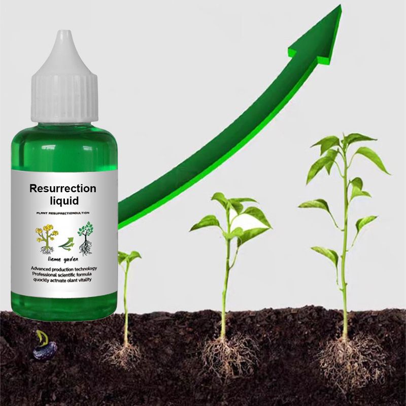BloomBurst - Rapid Plant & Flower Activator