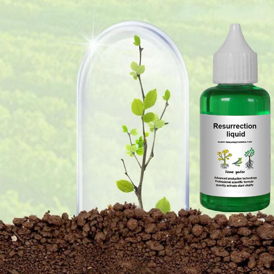 BloomBurst - Rapid Plant & Flower Activator