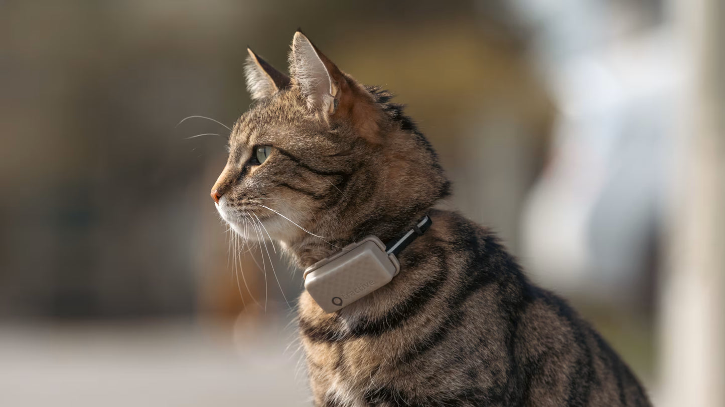 PurrTrack – Smart Cat Collar