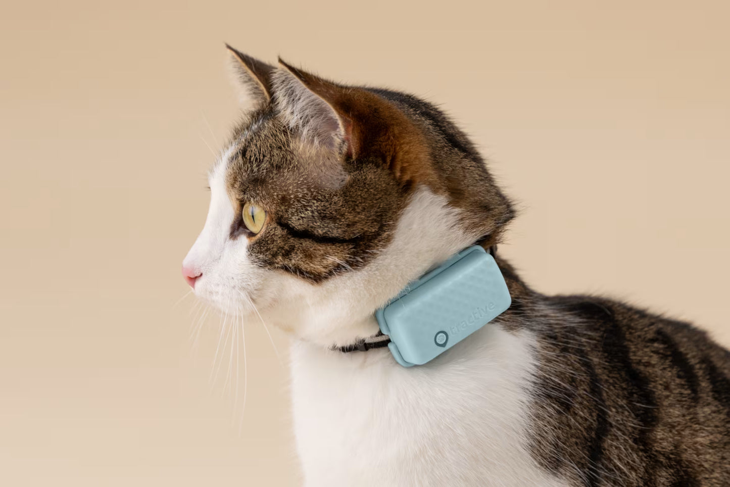 PurrTrack – Smart Cat Collar