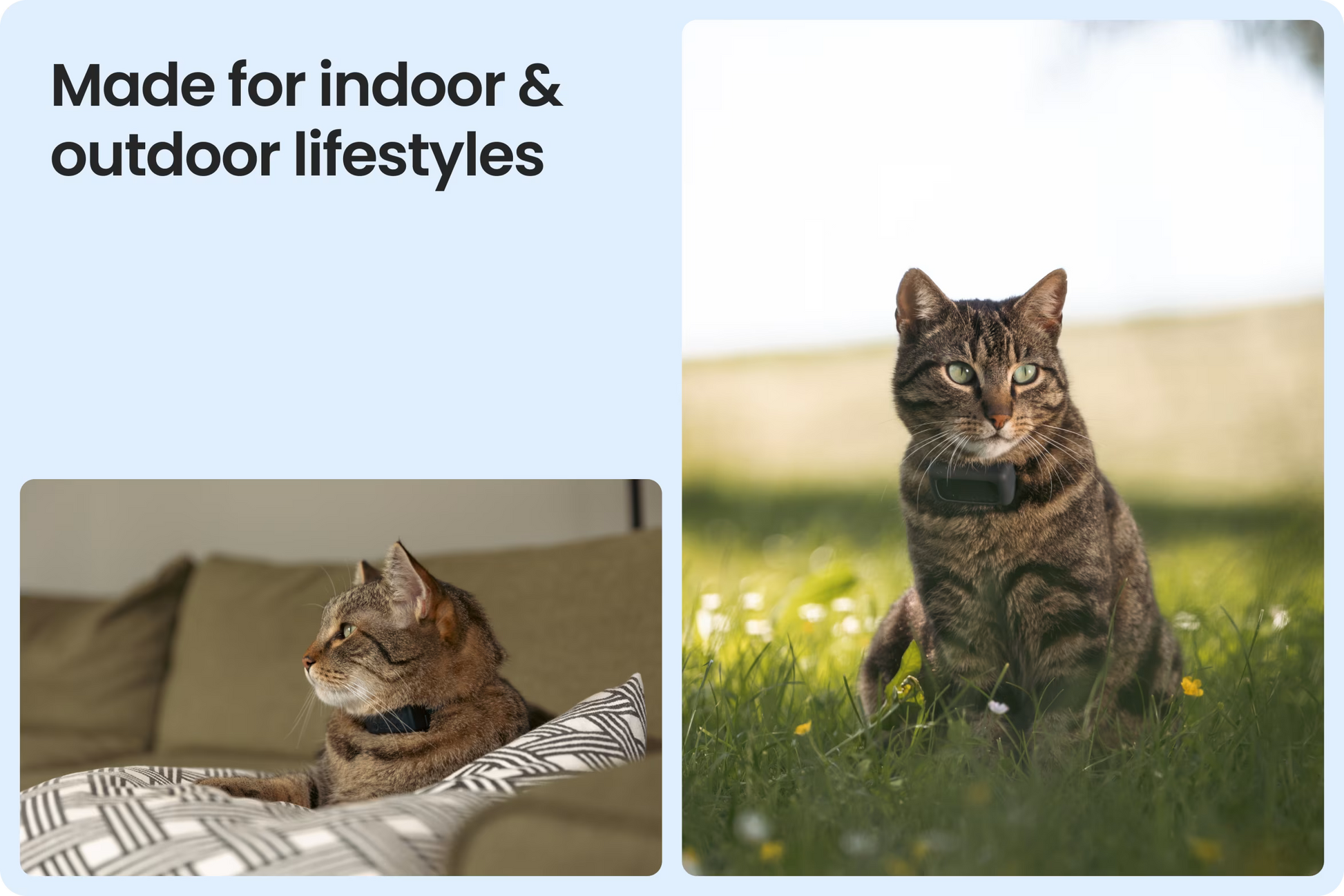 PurrTrack – Smart Cat Collar